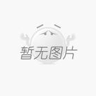 正規人力資源公司選擇要注意哪些內容？